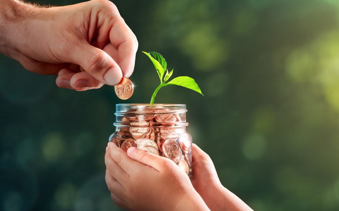 Building a Stronger Future Together: Why Individual Donors Matter