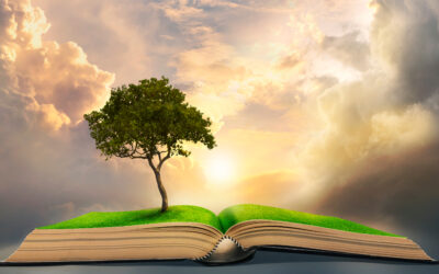 The Power of Story and Brand in Donor Relationships